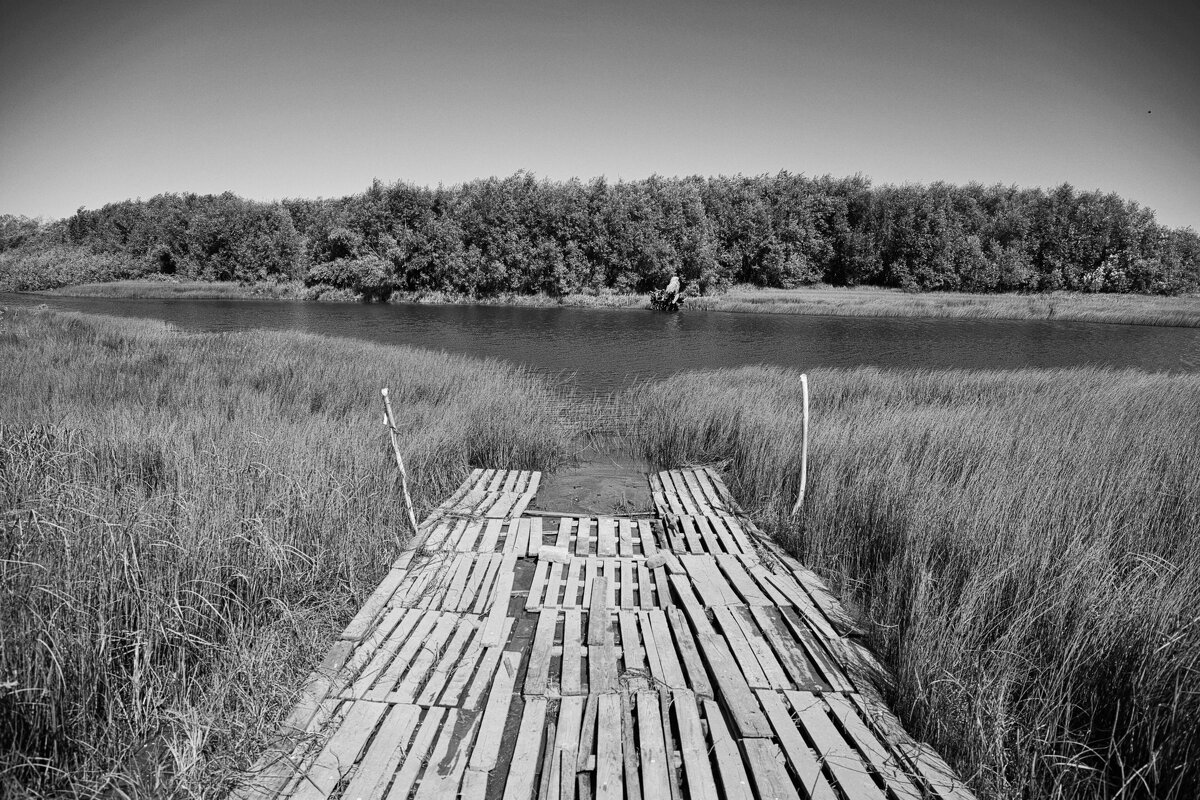 Фотография - Денис Безногов Фотография - Денис Безногов