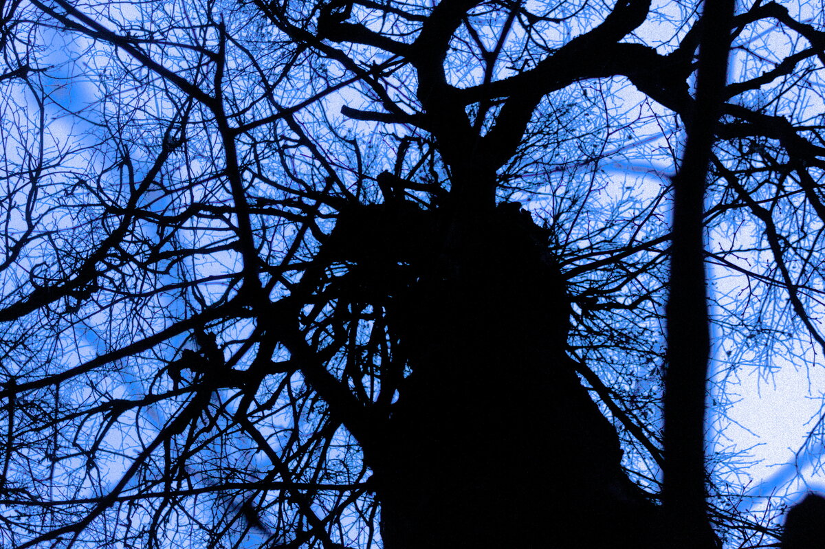 комок нервов) - Артём 