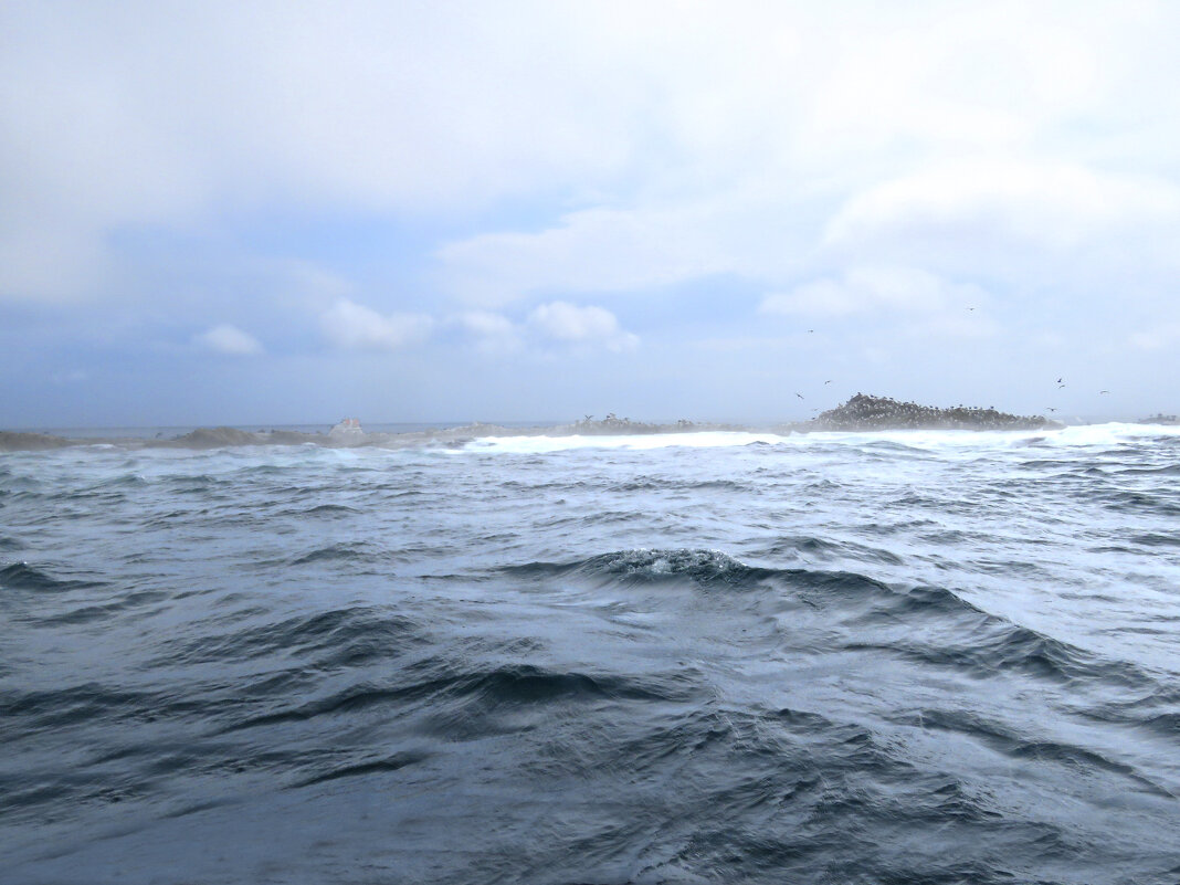 прогулка по морю - ИРЭН@ . прогулка по морю - ИРЭН@ .