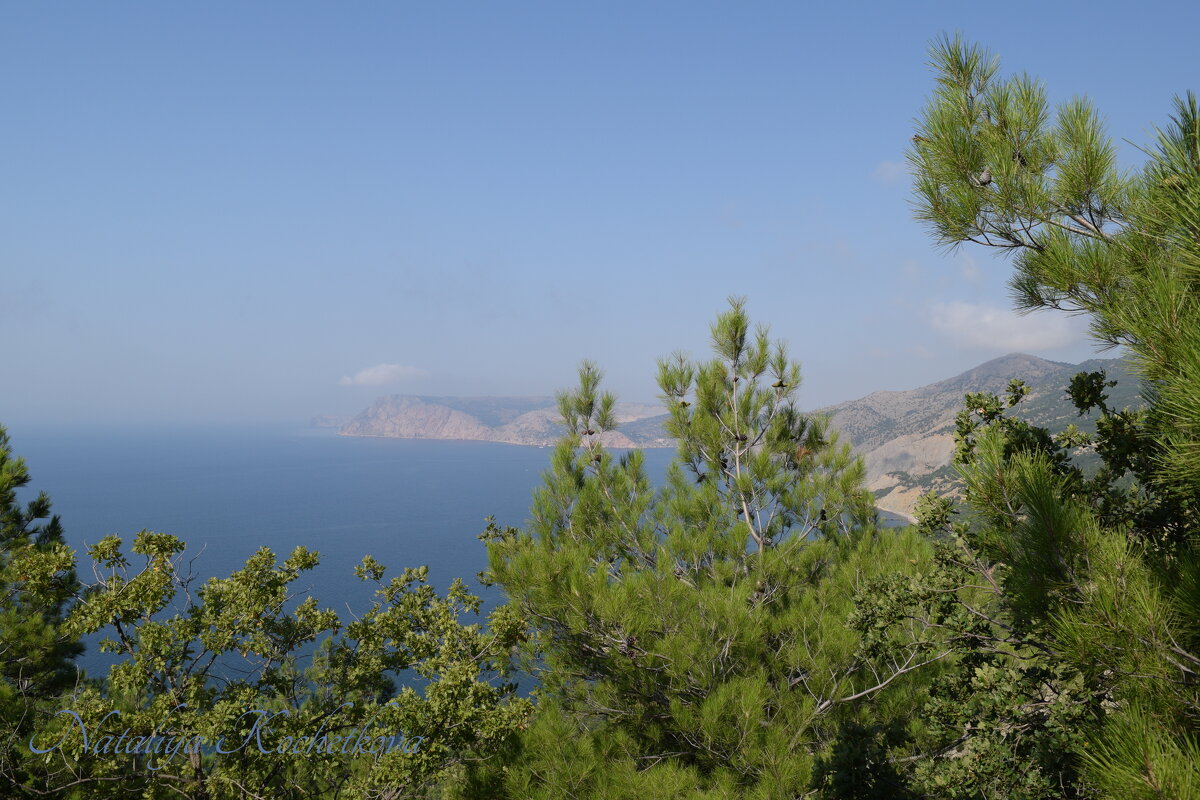 Природа Крыма - Amazing Cosmea Природа Крыма - Amazing Cosmea