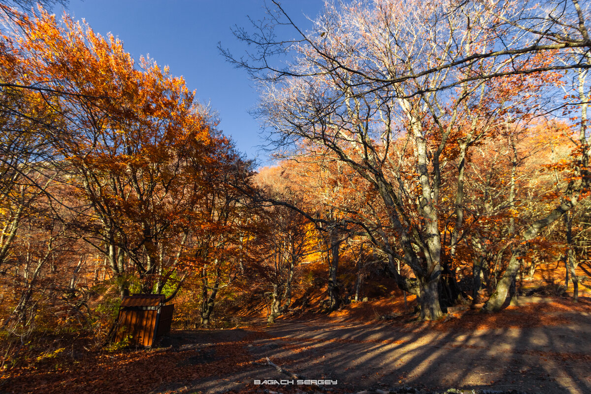 ОСЕНЬ ДЕМЕРДЖИ - Sergey Bagach