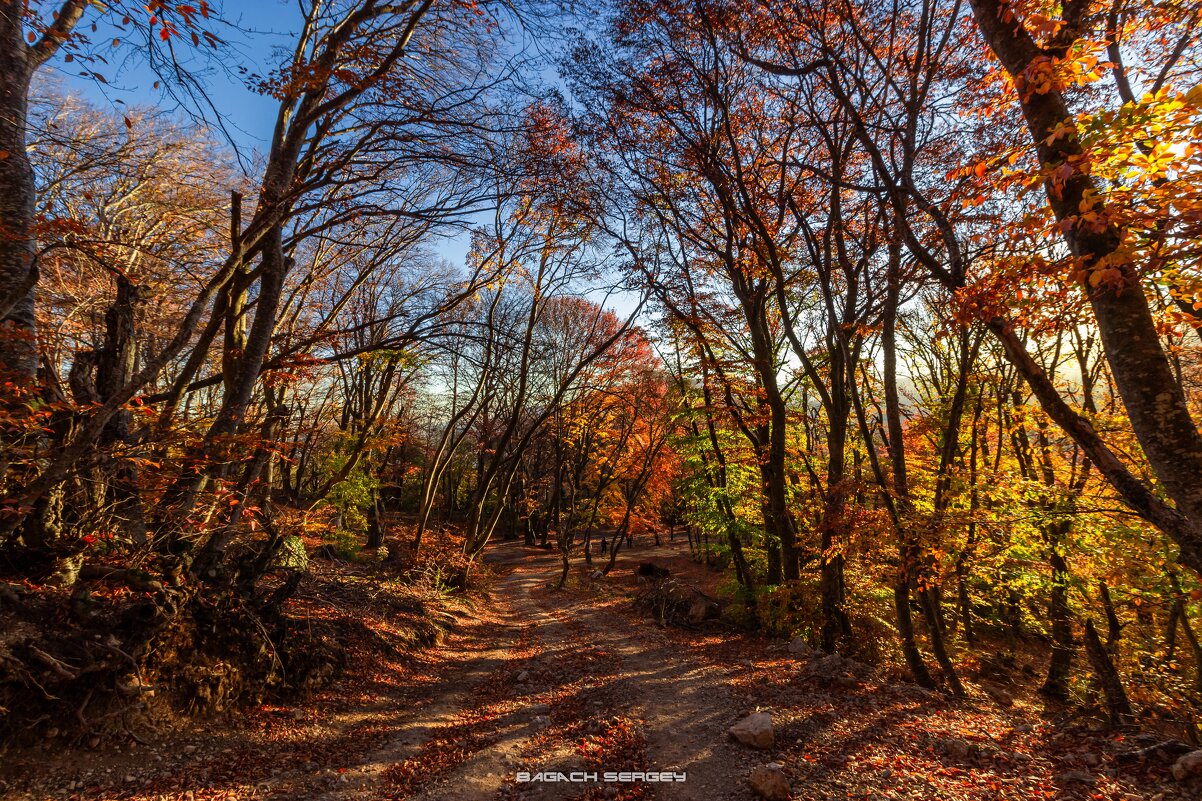 ОСЕНЬ ДЕМЕРДЖИ - Sergey Bagach ОСЕНЬ ДЕМЕРДЖИ - Sergey Bagach