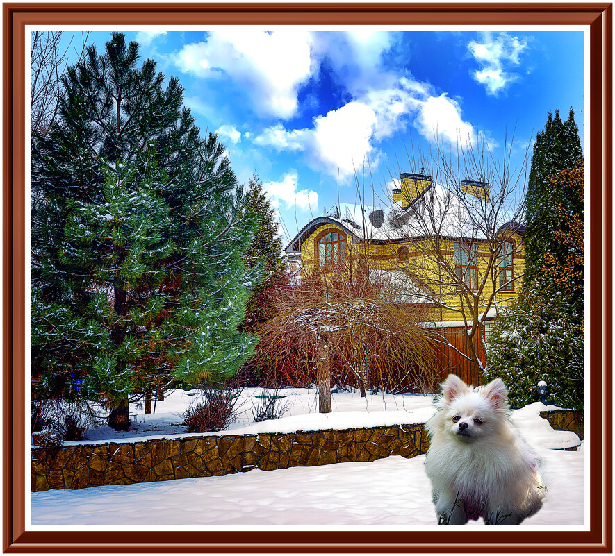 Не пущу! - Владимир Кроливец