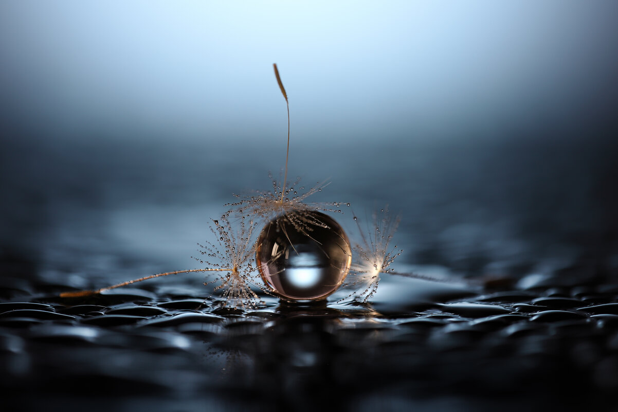 Трио - Игорь Шевченко Трио - Игорь Шевченко