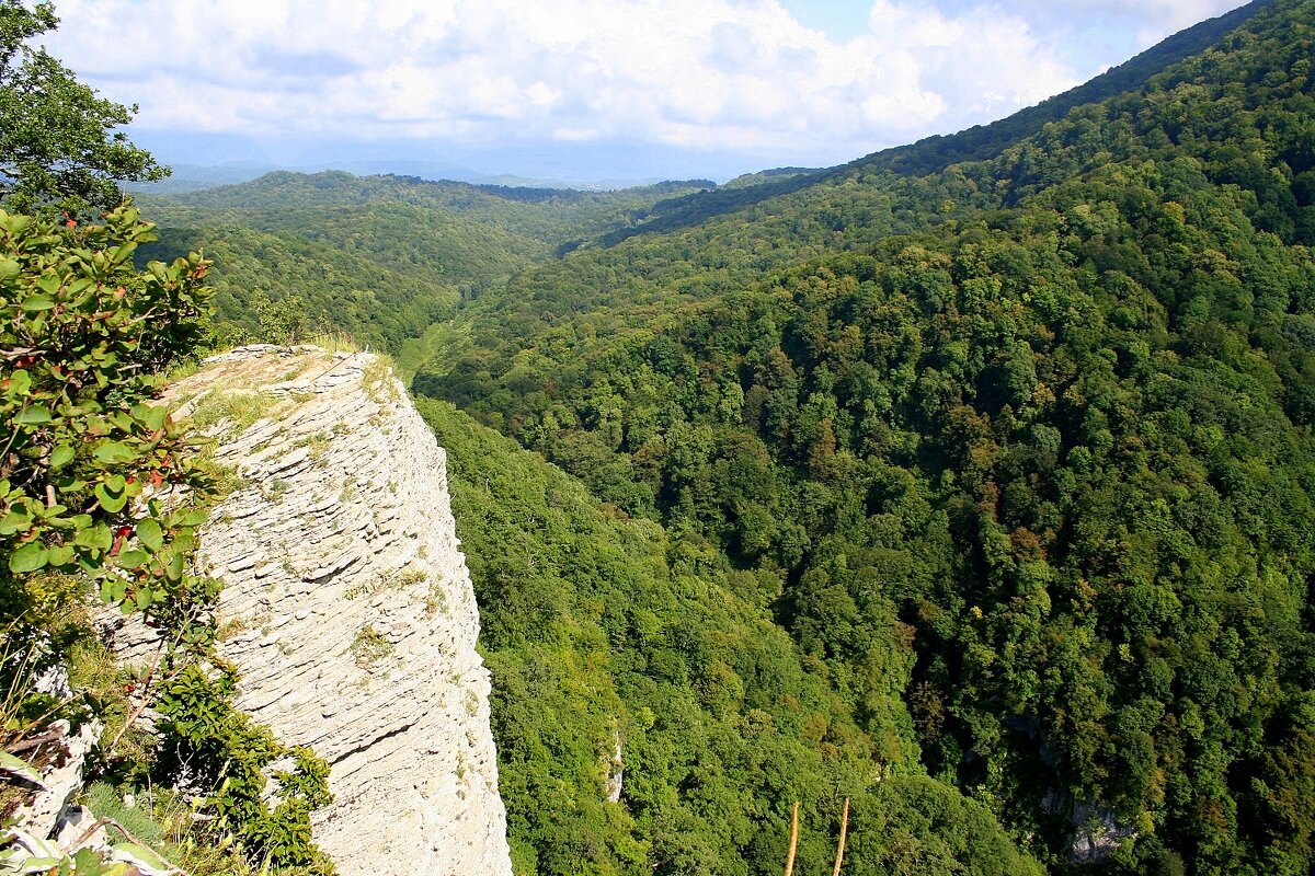 АХШТЫРСКОЕ УЩЕЛЬЕ СОЧИ - Tata Wolf АХШТЫРСКОЕ УЩЕЛЬЕ СОЧИ - Tata Wolf