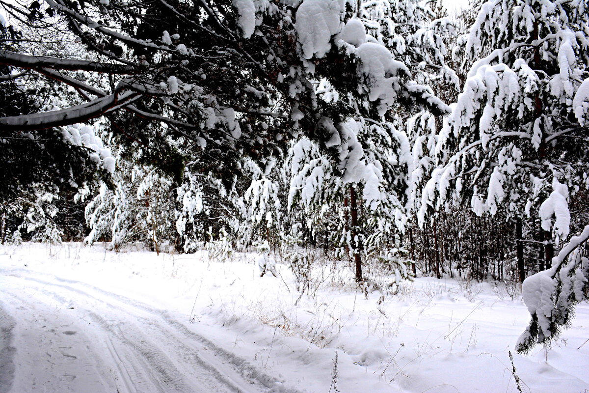 зима - Александр 