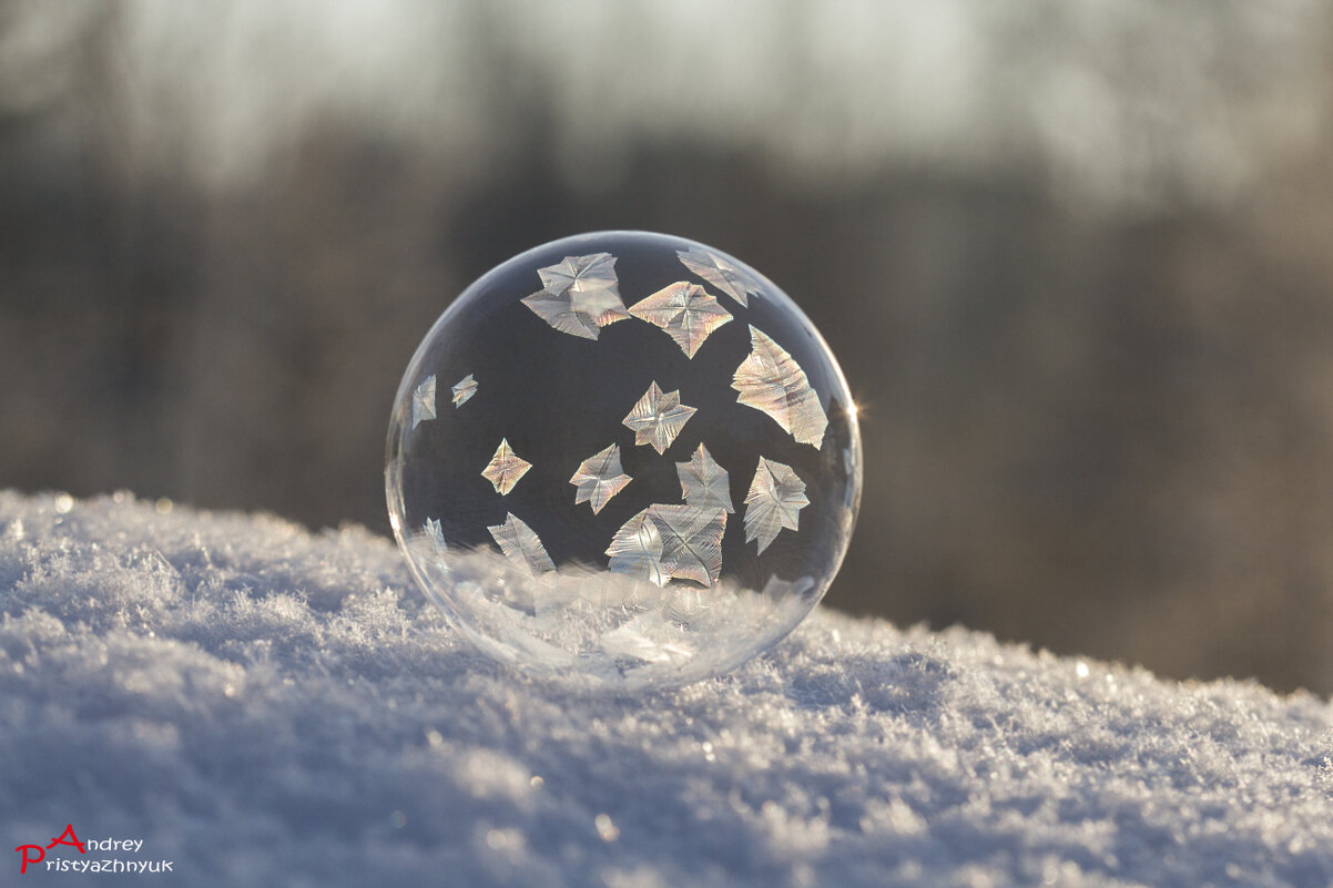 Пузырь - Андрей Пристяжнюк