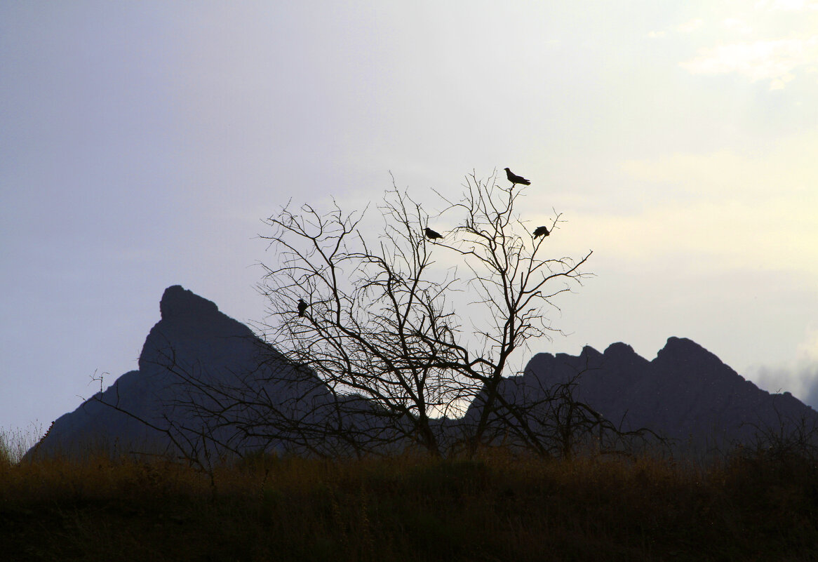 Театр теней - Геннадий Валеев Театр теней - Геннадий Валеев