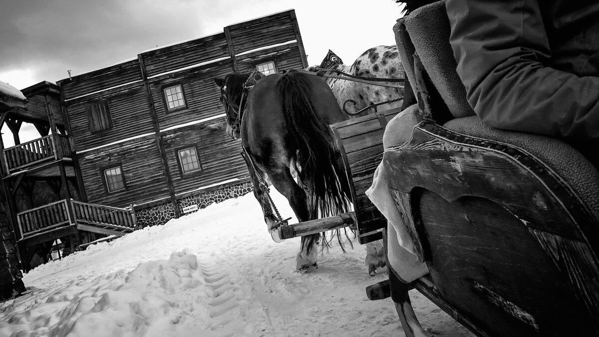 с лошадью в санях - Jiří Valiska