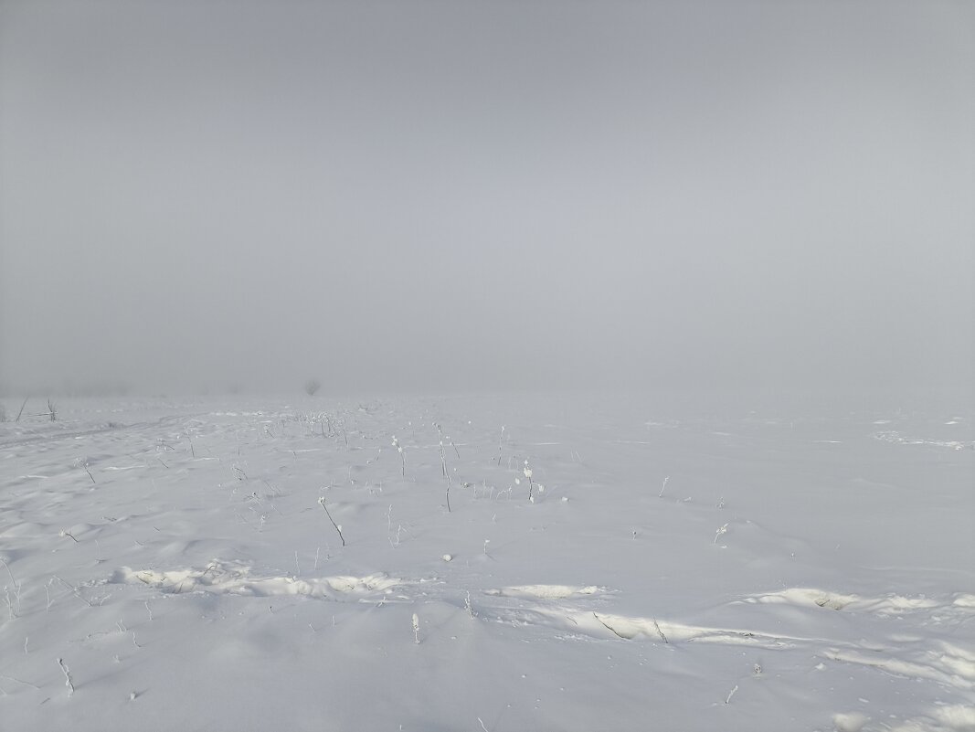 Туман - Anna Ivanova Туман - Anna Ivanova