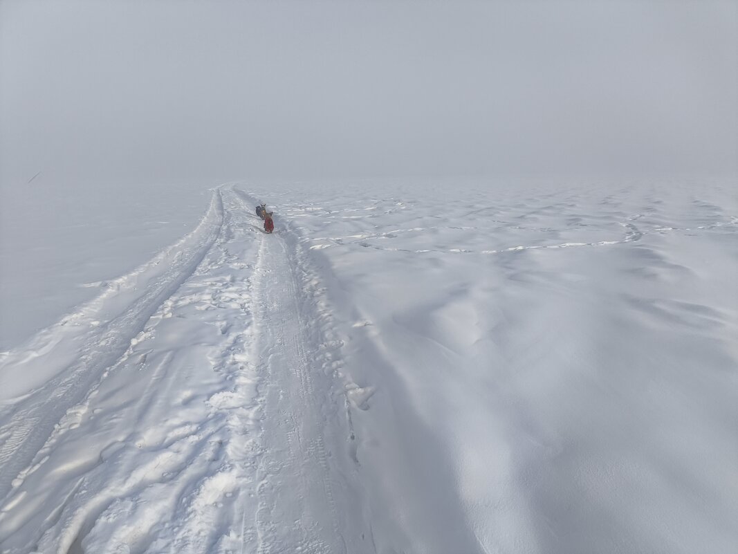 Мороз - Anna Ivanova Мороз - Anna Ivanova