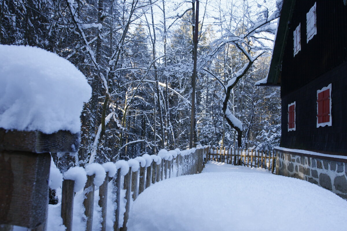"Заколдован невидимкой, дремлет лес под сказку сна" - Ирэн "Заколдован невидимкой, дремлет лес под сказку сна" - Ирэн