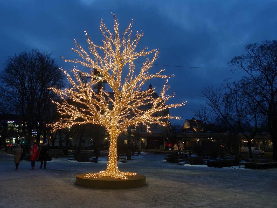 Новогодние украшения города - Aida10 