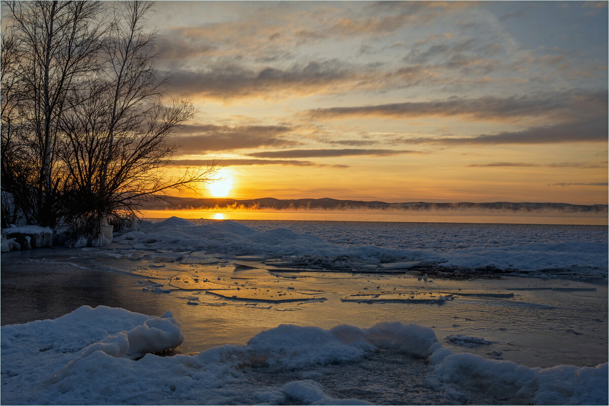 **** - Алексей Мезенцев
