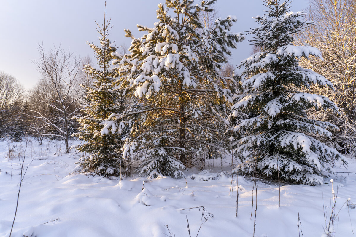 Морозным утром - Сергей Ц Морозным утром - Сергей Ц
