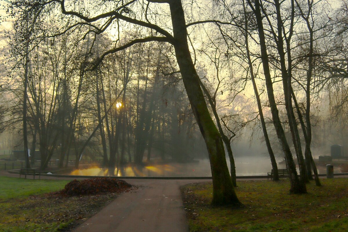 Утро восемнадцатого декабря - Юрий. Шмаков Утро восемнадцатого декабря - Юрий. Шмаков