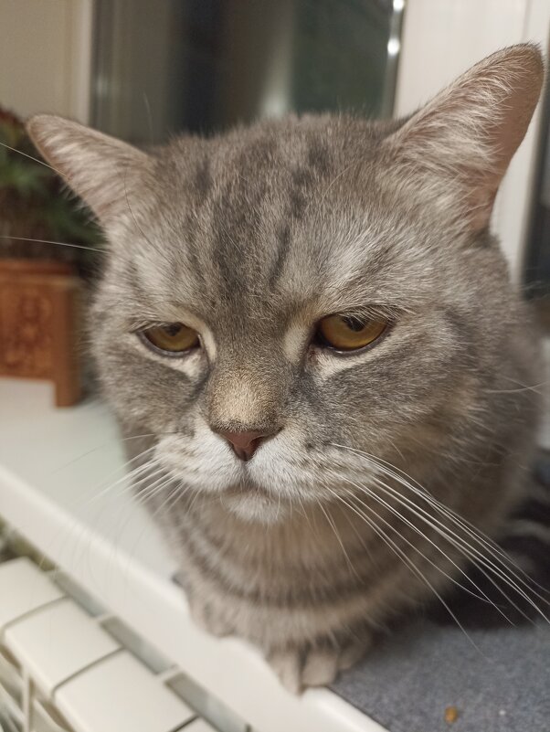 Томный взгляд - Павел Трунцев Томный взгляд - Павел Трунцев