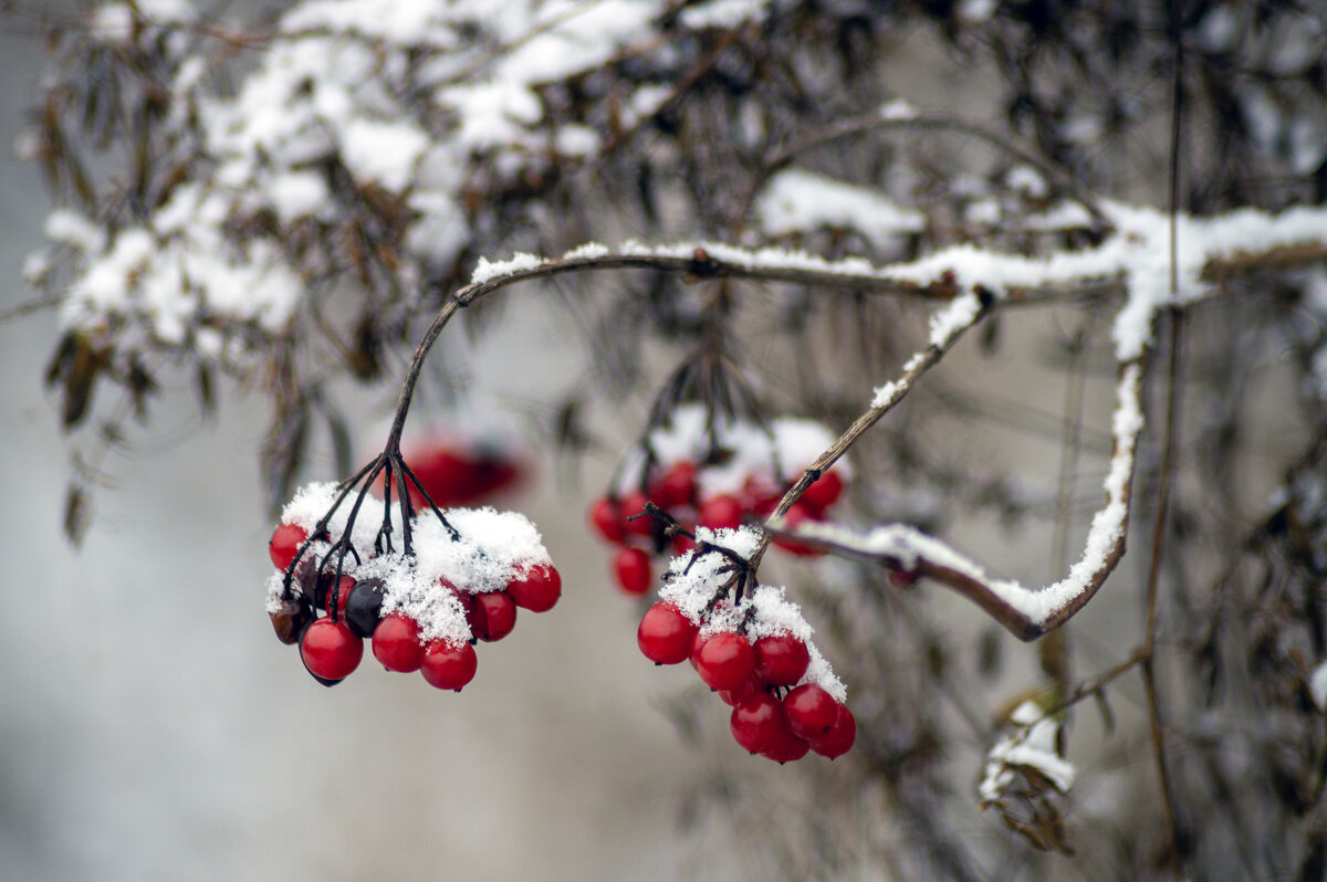 С утеплением - sorovey Sol С утеплением - sorovey Sol