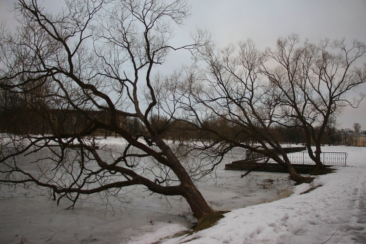 Зима 2025. Январь - Наталья Герасимова Зима 2025. Январь - Наталья Герасимова