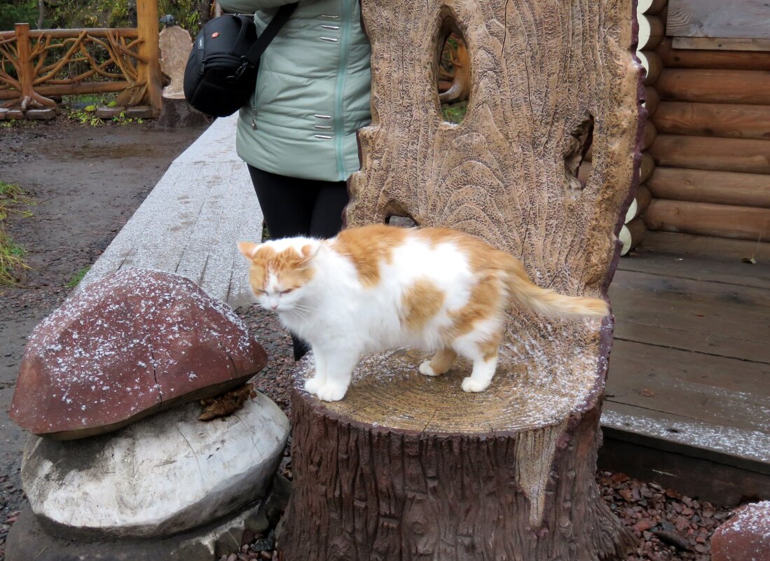 Хозяйка трона. - Ирина ***