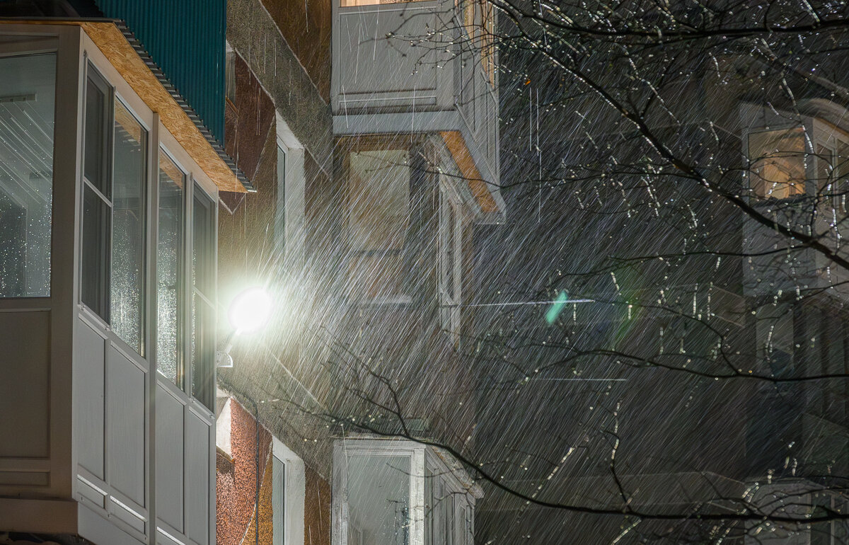 Декабрьский дождь. - Жора Житников Декабрьский дождь. - Жора Житников