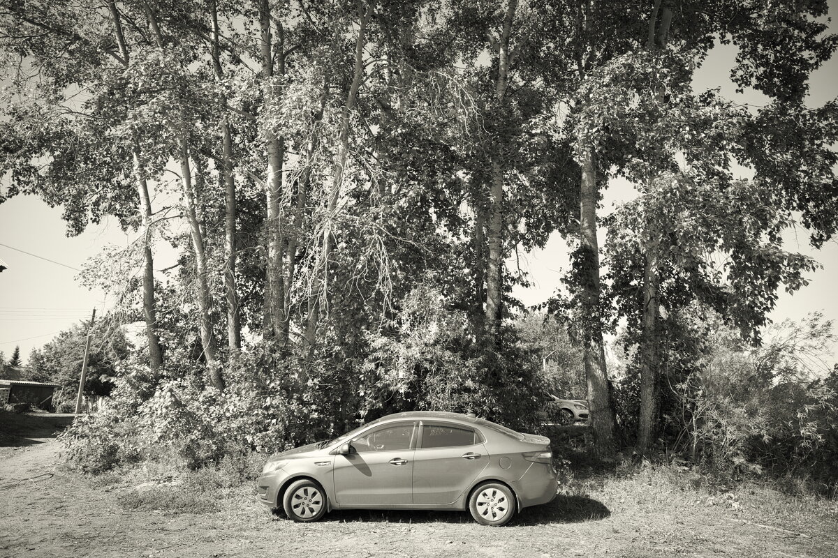 Фотография - Денис Безногов