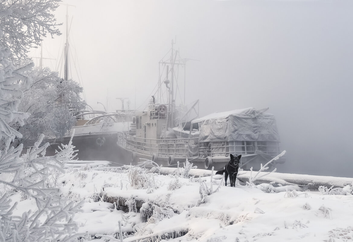 Морозные корабли - Марина Фомина. Морозные корабли - Марина Фомина.
