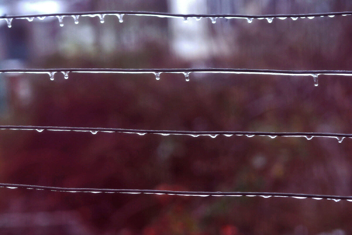 Капельки - Юрий Гайворонскiий