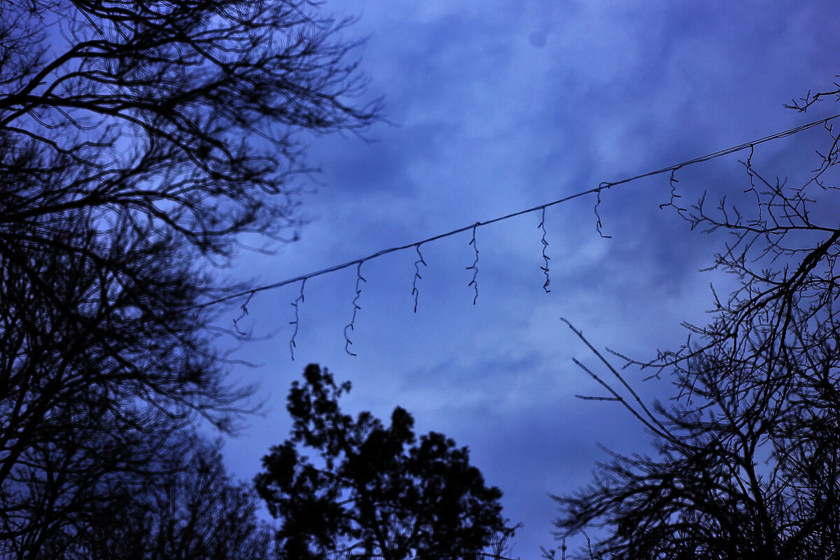 Украшение к Новому году - Юрий Гайворонскiий