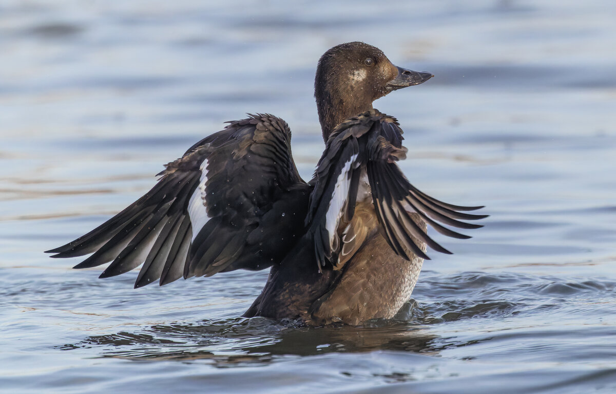 турпан. - юрий макаров