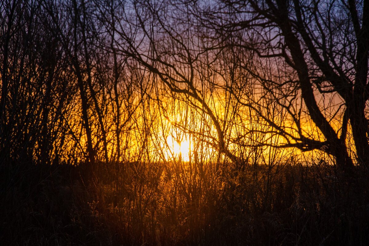 ____ - Галина Ложечникова