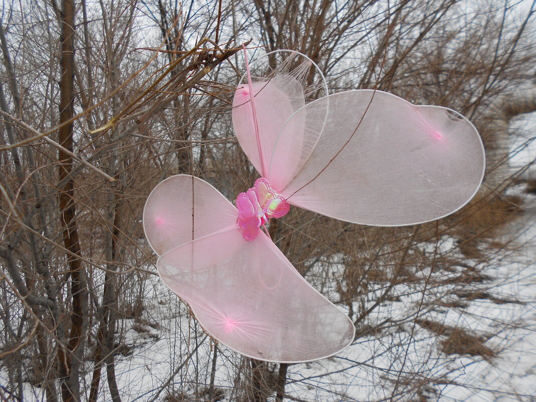 ......... - Елена Шаламова ......... - Елена Шаламова