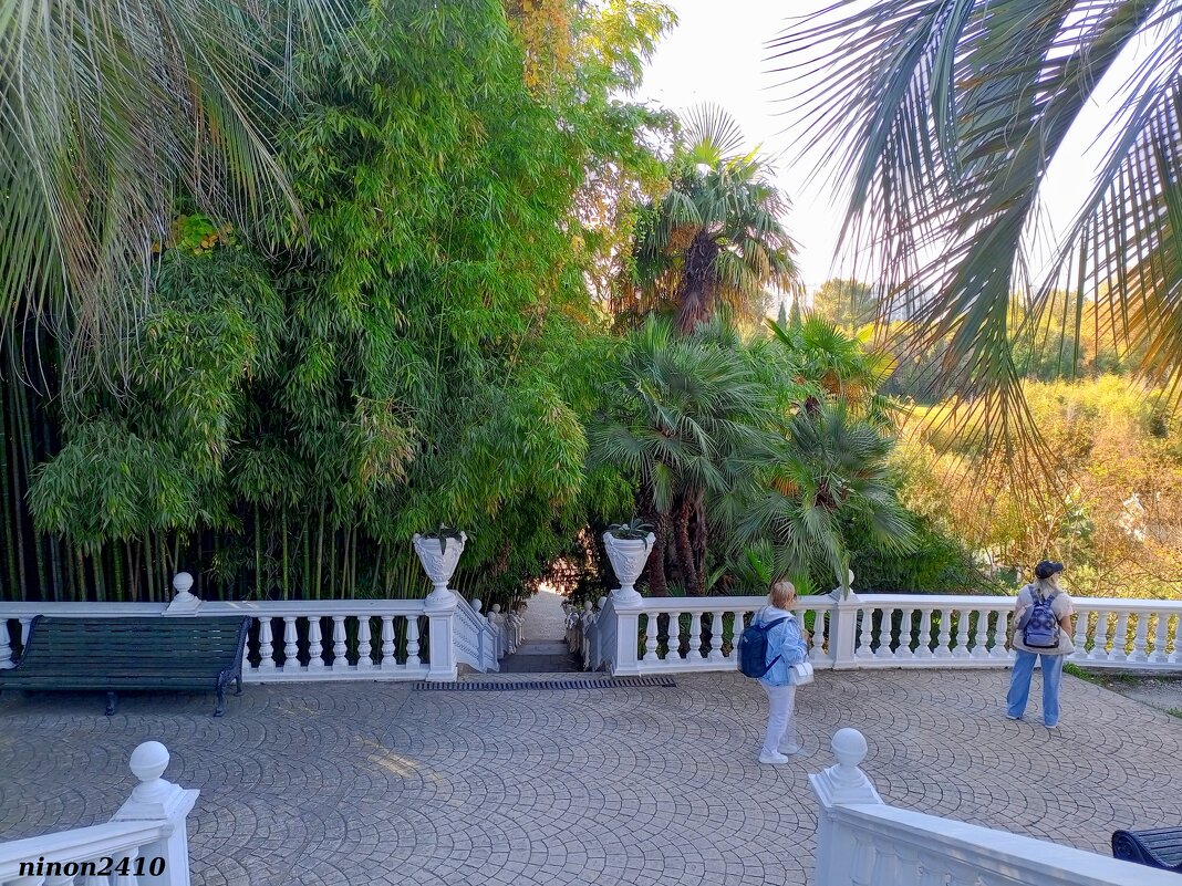 Адлер. Дендропарк "Южные культуры" - Нина Бутко Адлер. Дендропарк "Южные культуры" - Нина Бутко