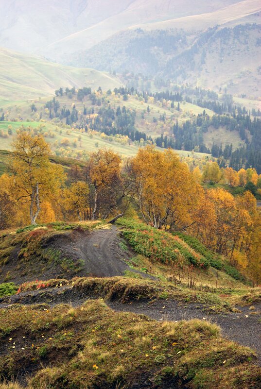 Дали ... - Андрей Любимов Дали ... - Андрей Любимов