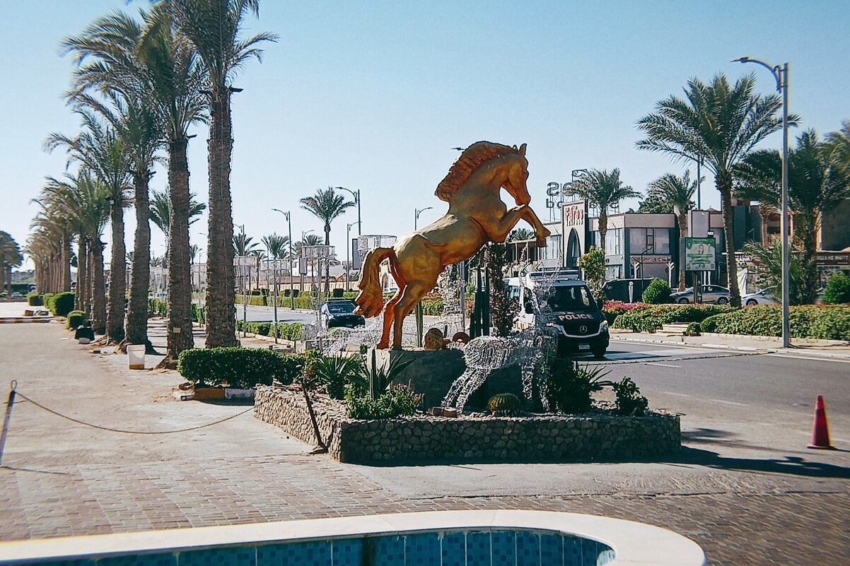 Символ нового года у входа в отель:SEA BEACH - Игорь Солдаткин