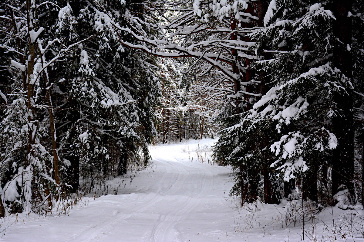 *** - Александр 