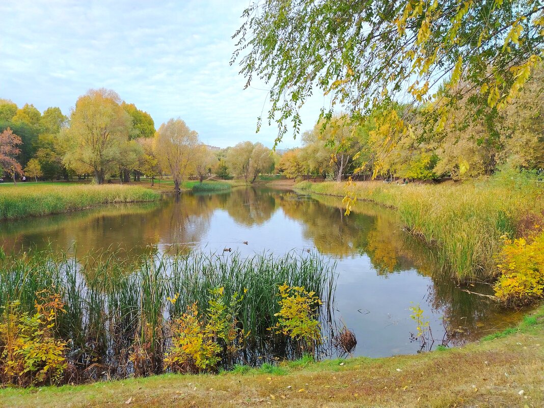 Парк Воронежские озера в Самаре - Надежда 