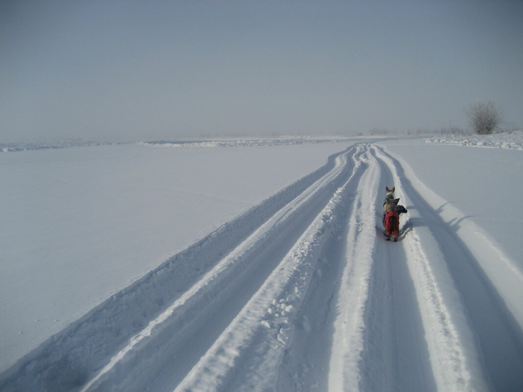 Зимние прогулки - Anna Ivanova