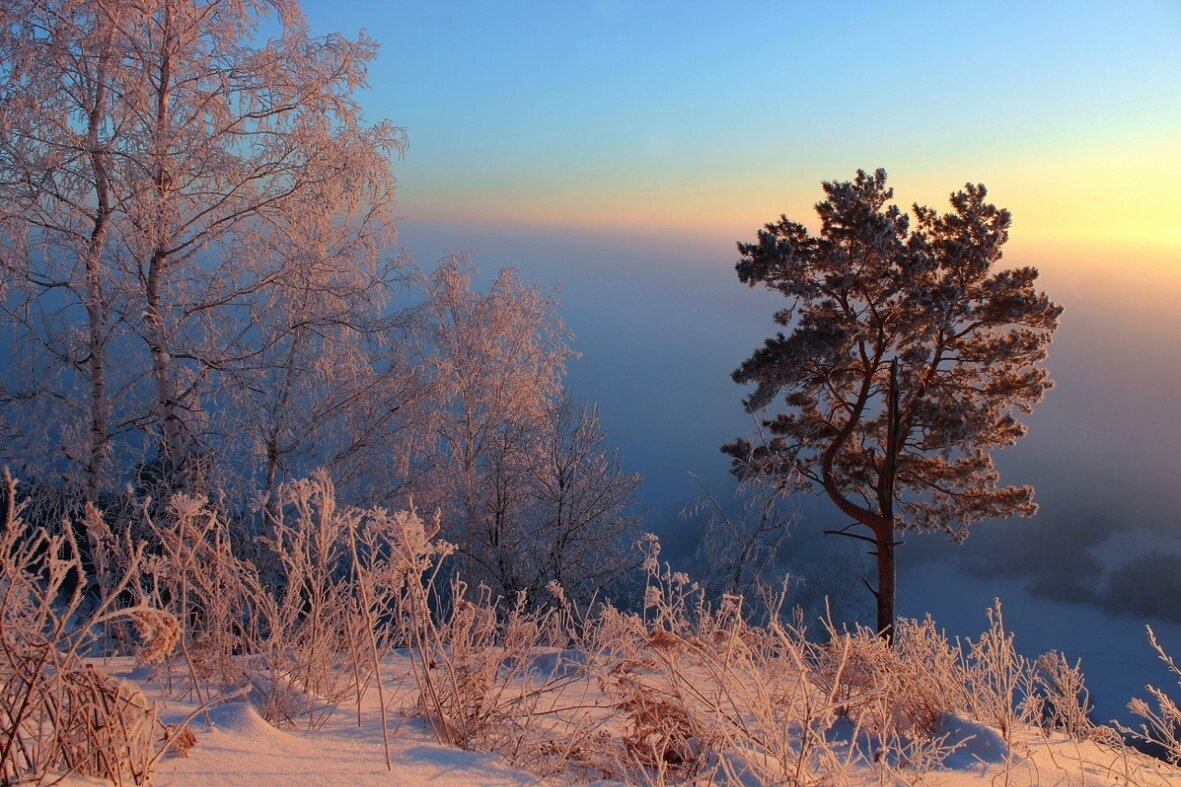 Морозный рассвет над Обью - елена беликова