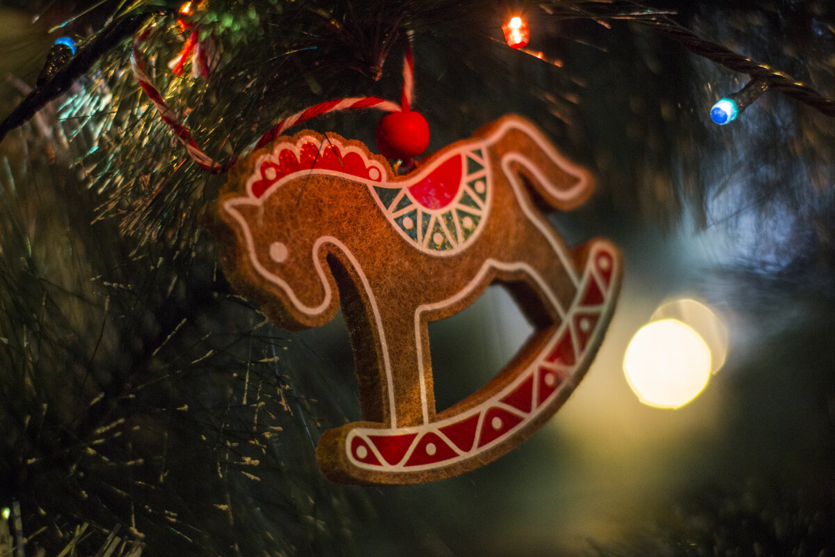 НГ - Тамара Федорова