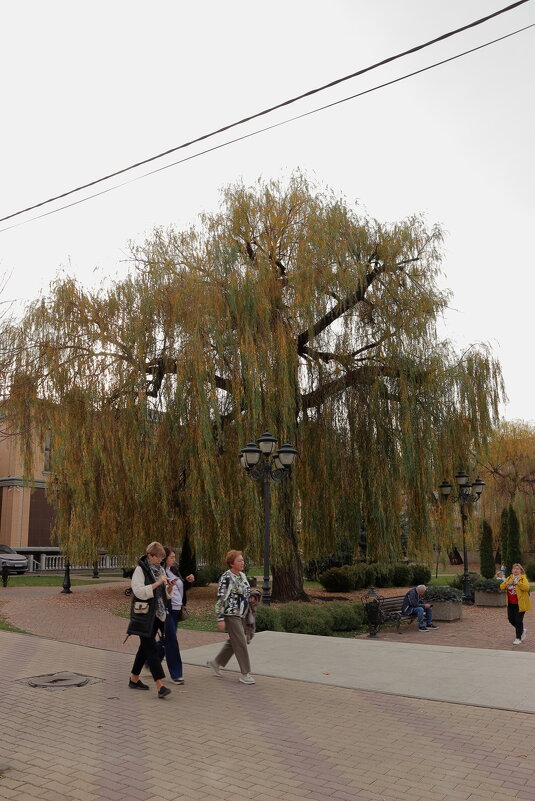 Кисловодск. - Александр Николаев