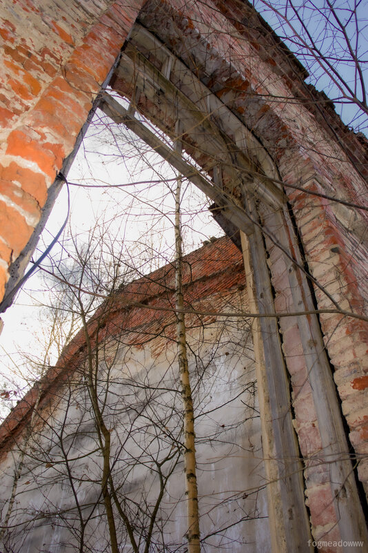 без названия - fogmeadowww m