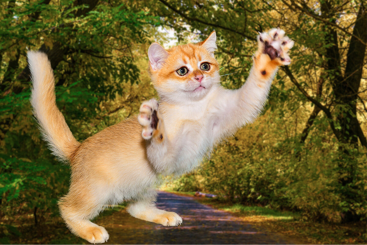 Уже ловлю.... - Римма Волченко