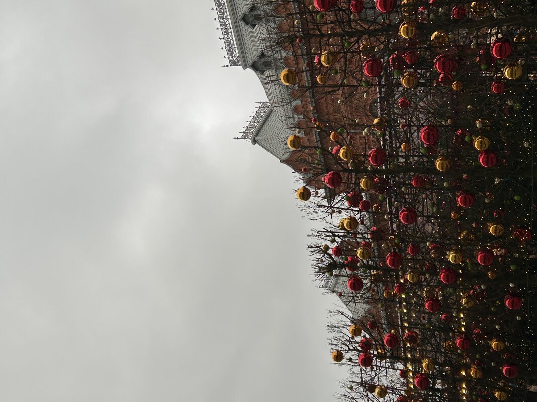 Москва - Натали 