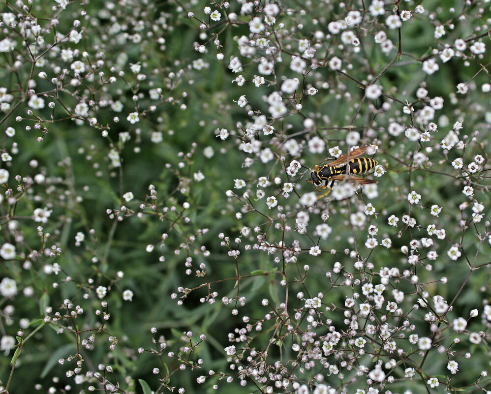 среди "звезд".._))) - Александр Герасенков