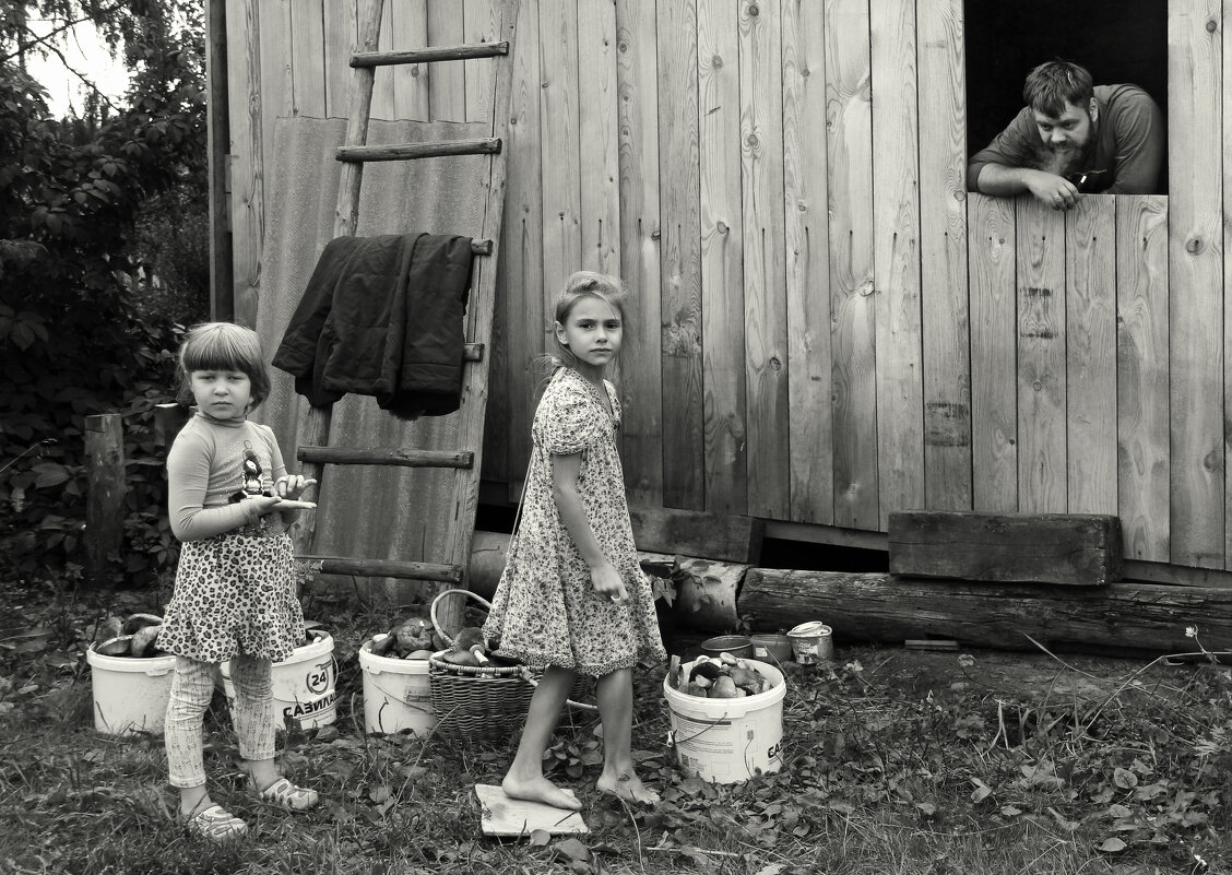 Грибной год... - СЮ 