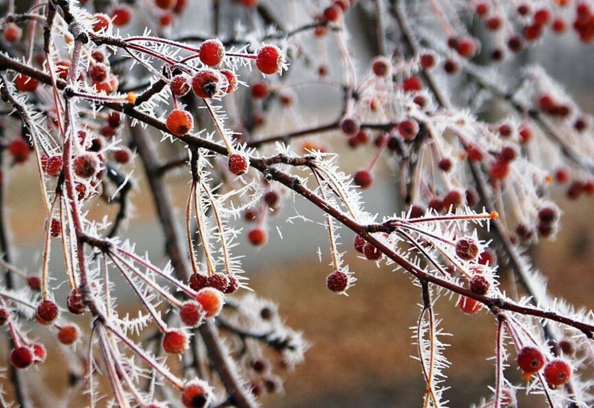 Иней - Галина Нестратова