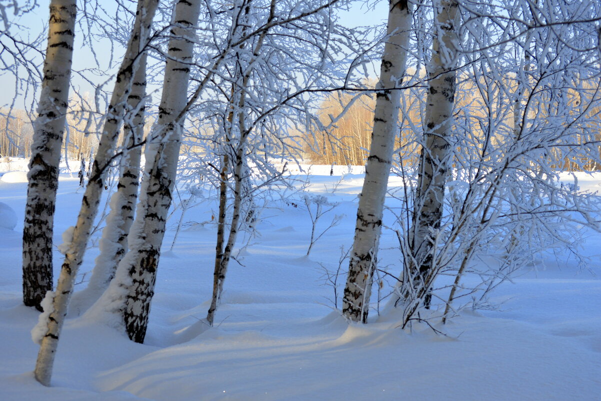 Морозный день за городом - Татьяна Лютаева