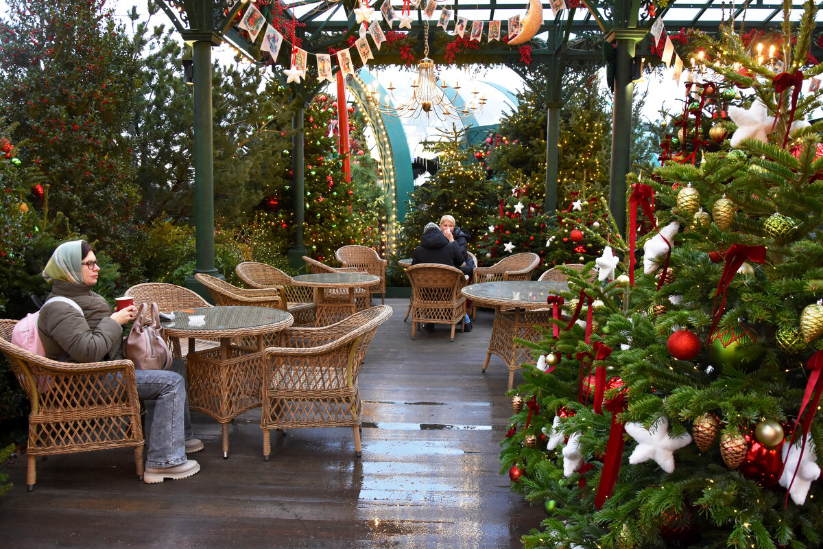 Предновогодняя Москва. Путешествие в Рождество. - Наташа *****