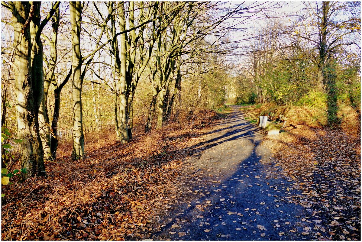 ТРОПИНКА... - Elvira E. 